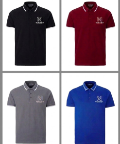 Áo Thun Polo Nam Northex Cao Cấp - Bộ Sưu Tập 4 Màu Thời Thượng